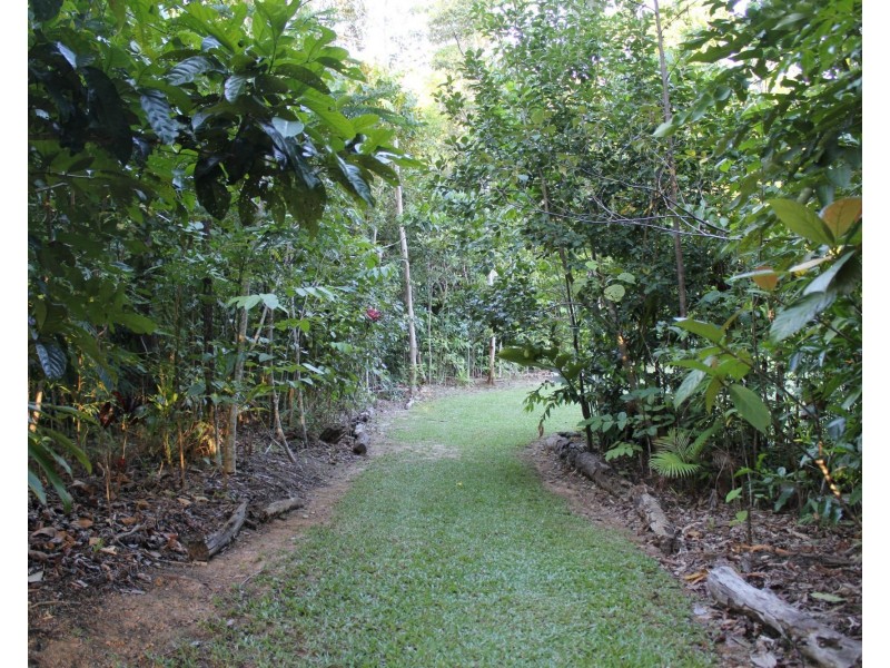 Lot 21 Plantation Drive, Bingil Bay QLD 4852