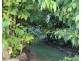 Lot 21 Plantation Drive, Bingil Bay QLD 4852