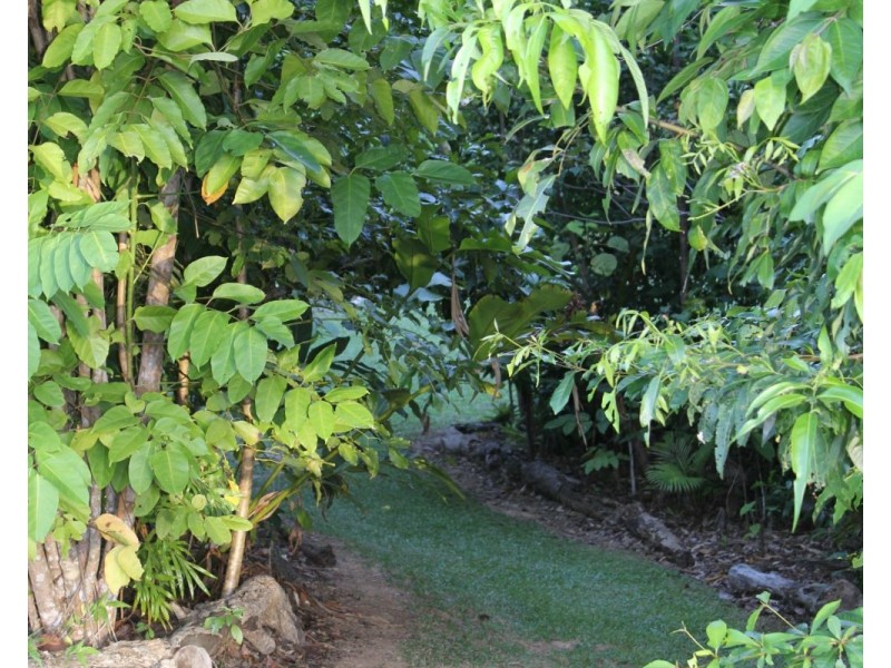 Lot 21 Plantation Drive, Bingil Bay QLD 4852