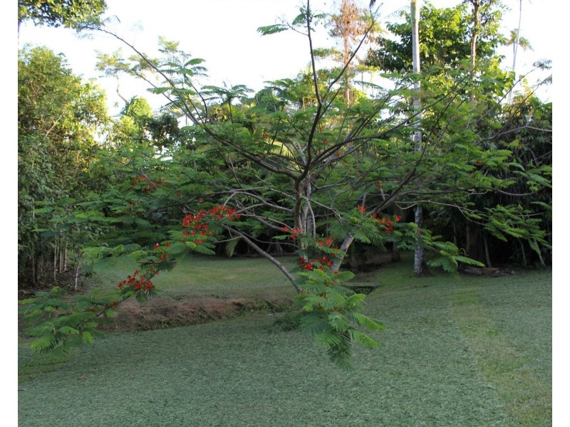 Lot 21 Plantation Drive, Bingil Bay QLD 4852