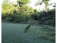 Lot 21 Plantation Drive, Bingil Bay QLD 4852