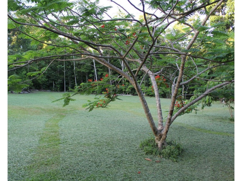 Lot 21 Plantation Drive, Bingil Bay QLD 4852