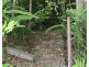 Lot 21 Plantation Drive, Bingil Bay QLD 4852