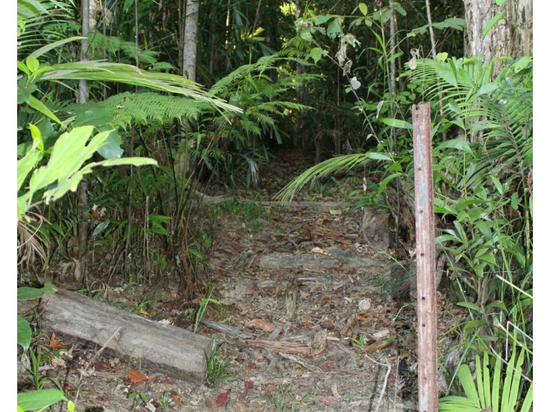 Lot 21 Plantation Drive, Bingil Bay QLD 4852