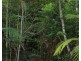 Lot 21 Plantation Drive, Bingil Bay QLD 4852