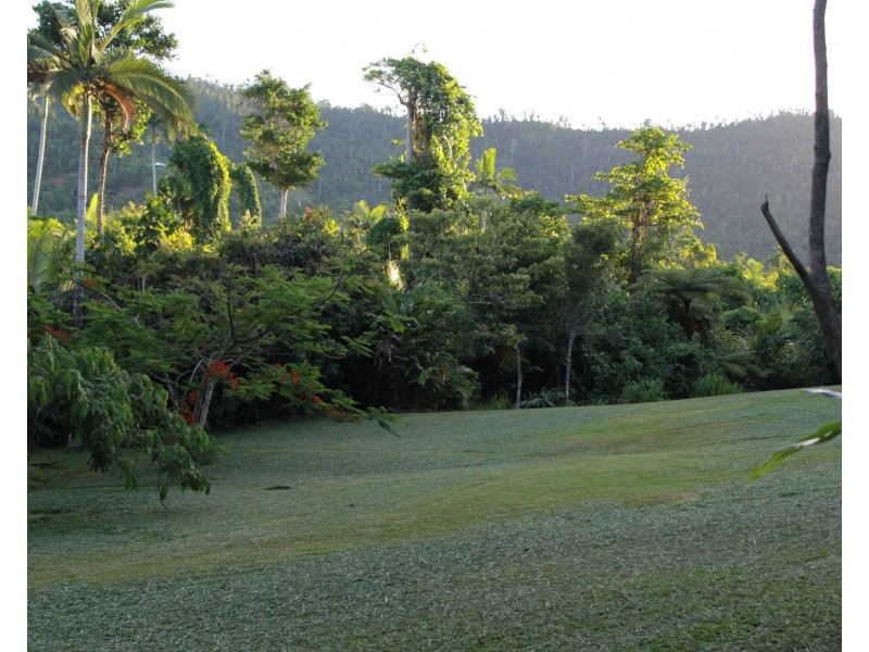 Lot 21 Plantation Drive, Bingil Bay QLD 4852