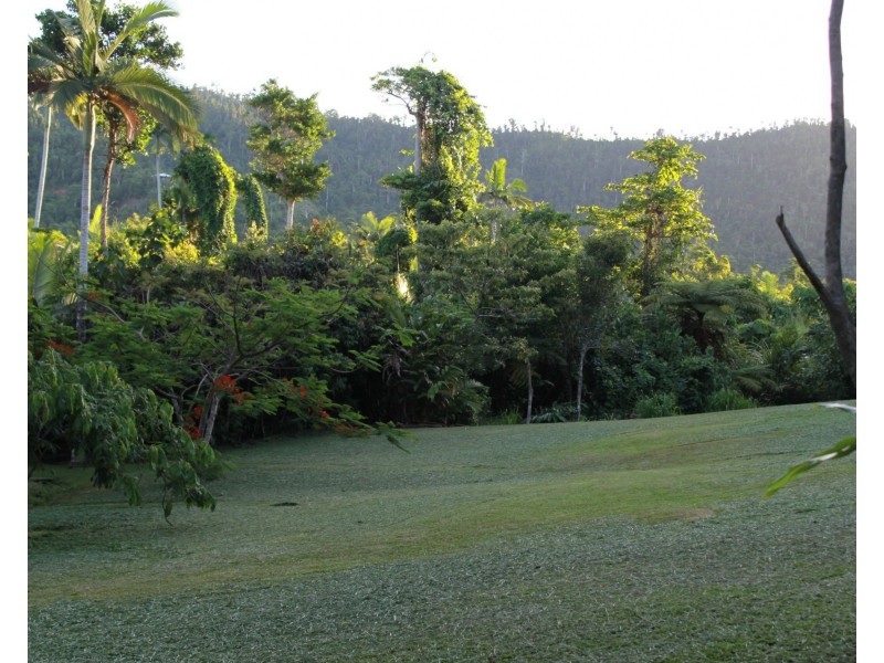 Lot 21 Plantation Drive, Bingil Bay QLD 4852
