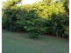 Lot 21 Plantation Drive, Bingil Bay QLD 4852