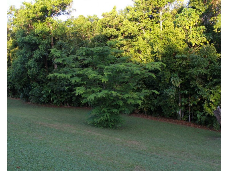 Lot 21 Plantation Drive, Bingil Bay QLD 4852
