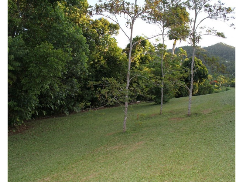 Lot 21 Plantation Drive, Bingil Bay QLD 4852