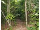 Lot 21 Plantation Drive, Bingil Bay QLD 4852