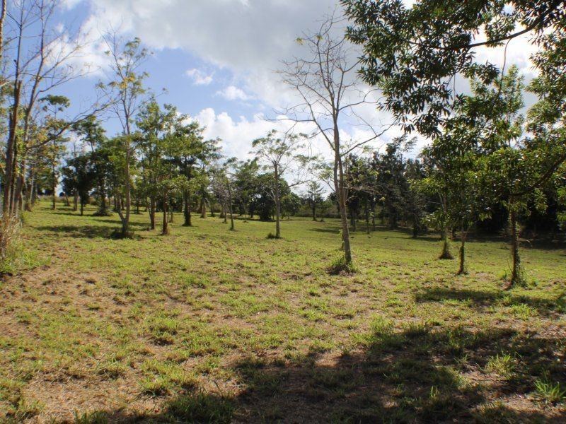 PL11a Boyett Road, Mission Beach QLD 4852