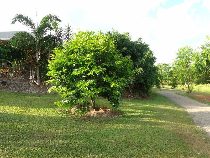38 Kode Road, Carmoo QLD 4852