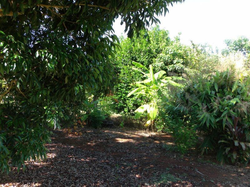 68 Kode Road, Carmoo QLD 4852