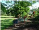 68 Kode Road, Carmoo QLD 4852