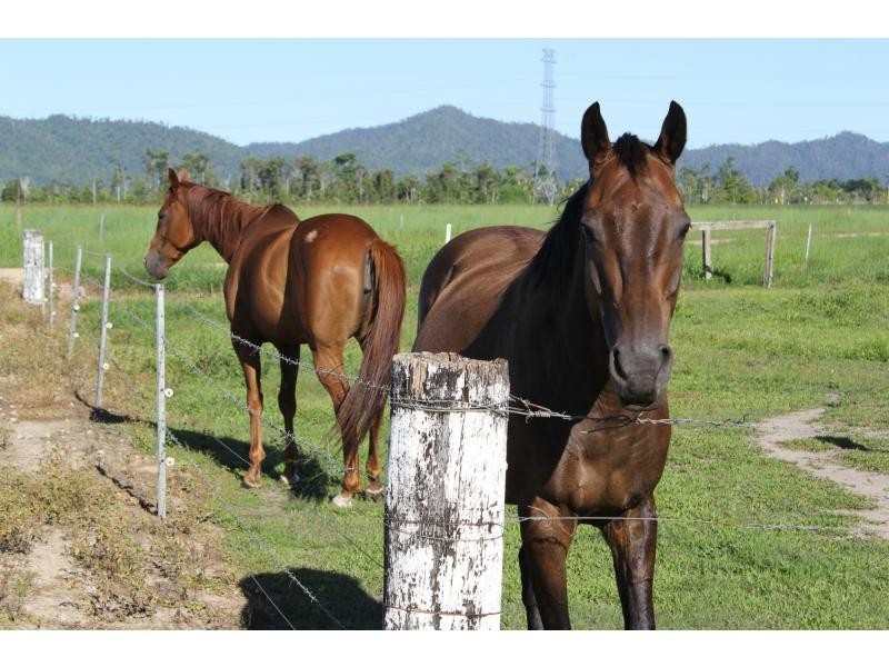 L1 Skardon Road, Birkalla QLD 4854