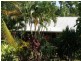 1 Palm Drive, Carmoo QLD 4852