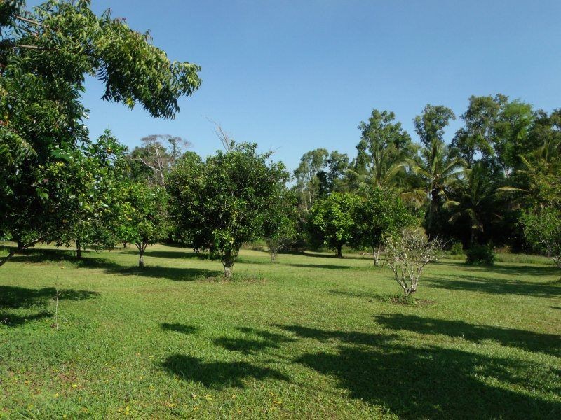 1 Palm Drive, Carmoo QLD 4852