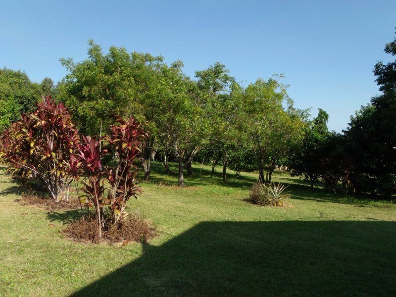 1 Palm Drive, Carmoo QLD 4852