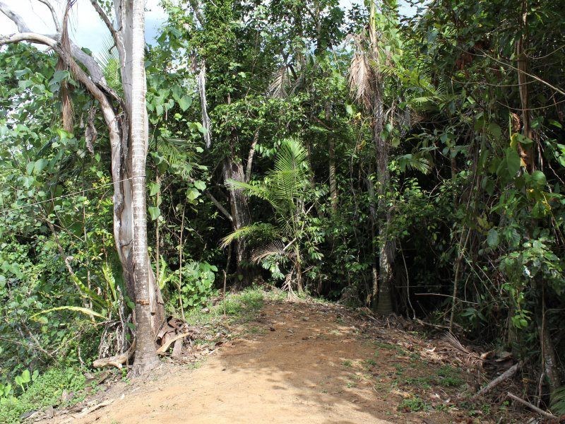 40 Kode Road, Carmoo QLD 4852