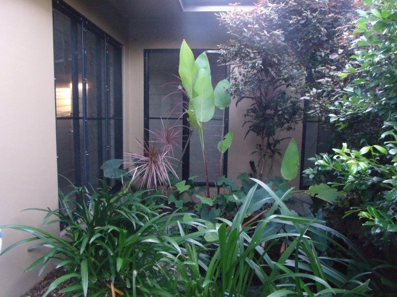 1/34 Mariner Drive, South Mission Beach QLD 4852