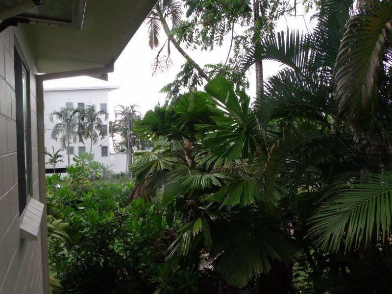 3 Donkin Lane, Mission Beach QLD 4852