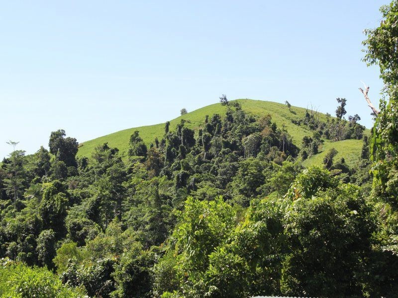 L6 El Arish Mission Beach Road, Mission Beach QLD 4852