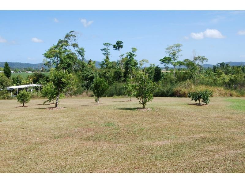 800 Old Tully Road, Djarawong QLD 4854