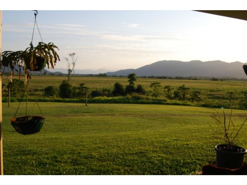 800 Old Tully Road, Djarawong QLD 4854