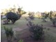 105 Lindsay Road, Carmoo QLD 4852