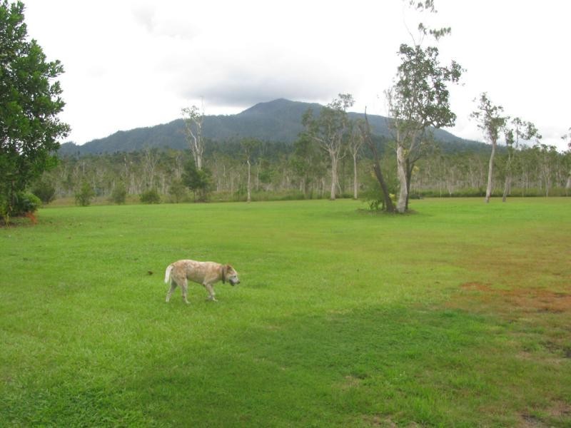 856 East Feluga Road, East Feluga QLD 4854