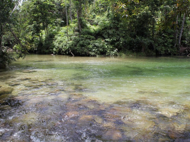 L16 Esther Court, Bulgun QLD 4854