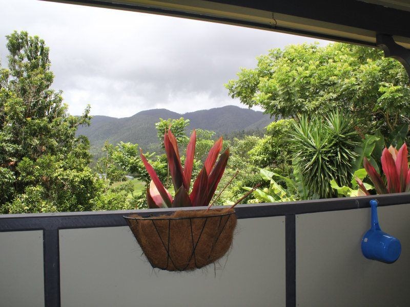 299 Bulgun Road, Bulgun QLD 4854