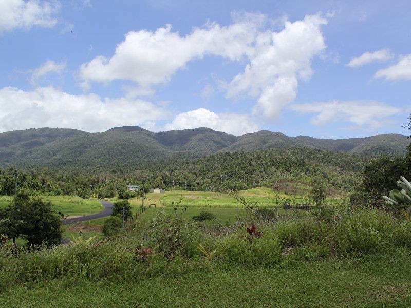 299 Bulgun Road, Bulgun QLD 4854