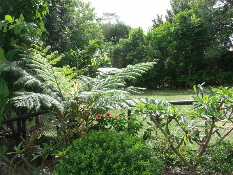 3 Riverside Terrace, South Mission Beach QLD 4852