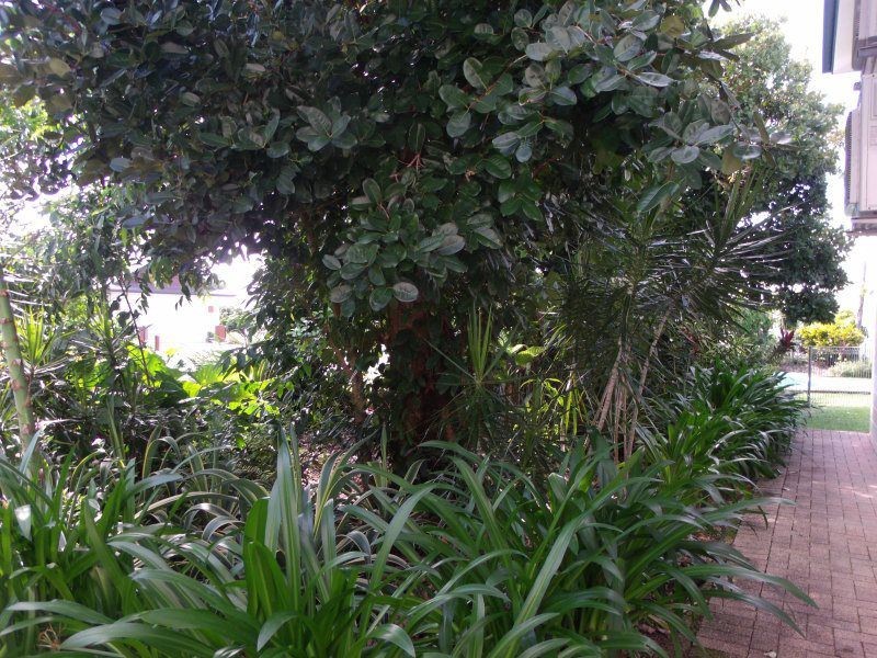 5/40 Wall Street, South Mission Beach QLD 4852