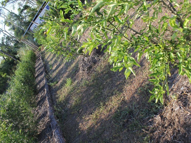 L13 Hull Heads Road, Hull Heads QLD 4854