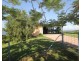 19 Hillview Court, Carmoo QLD 4852