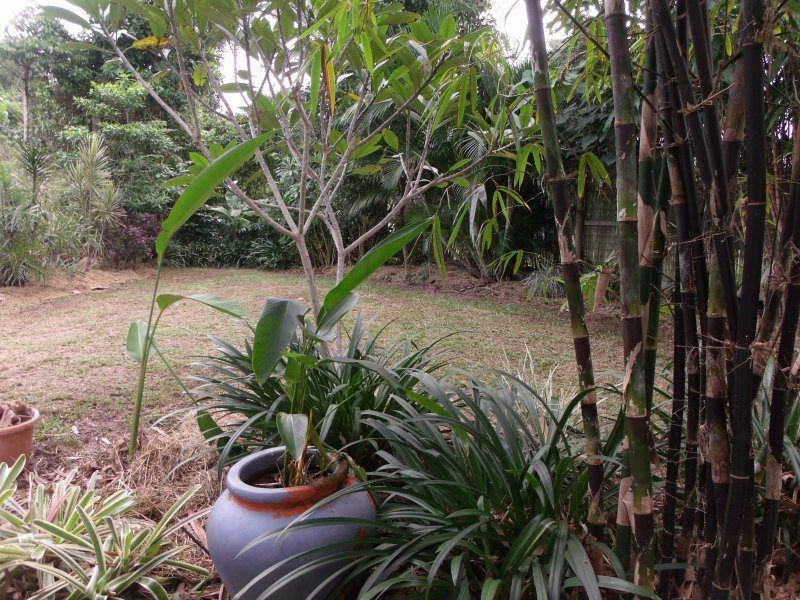 33 Pacific Parade, Mission Beach QLD 4852