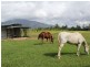 252 East Feluga Road, East Feluga QLD 4854