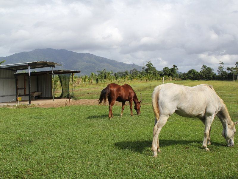 252 East Feluga Road, East Feluga QLD 4854