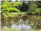 252 East Feluga Road, East Feluga QLD 4854