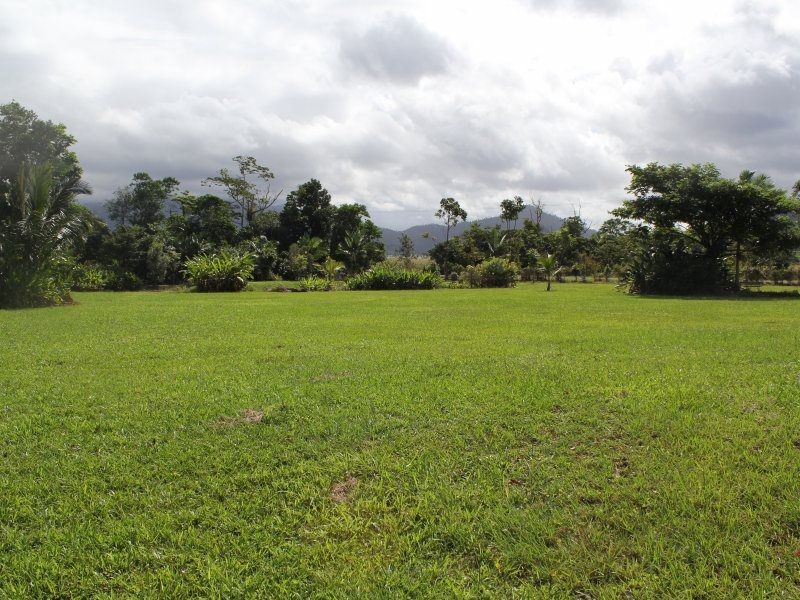 252 East Feluga Road, East Feluga QLD 4854