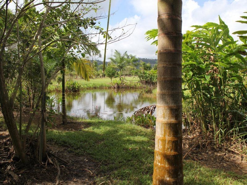 252 East Feluga Road, East Feluga QLD 4854