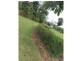252 East Feluga Road, East Feluga QLD 4854