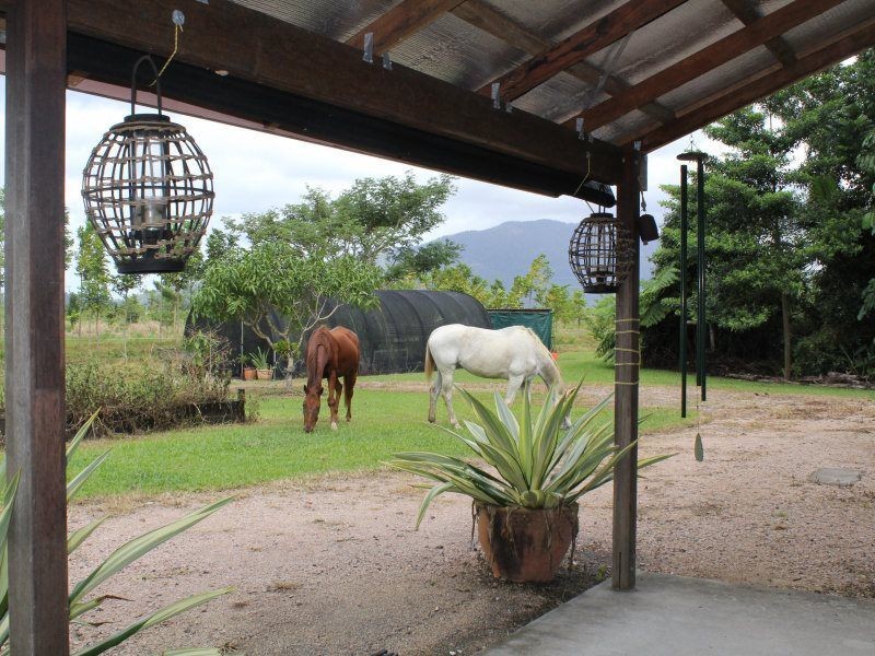 252 East Feluga Road, East Feluga QLD 4854
