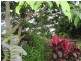 1 Riverside Terrace, South Mission Beach QLD 4852