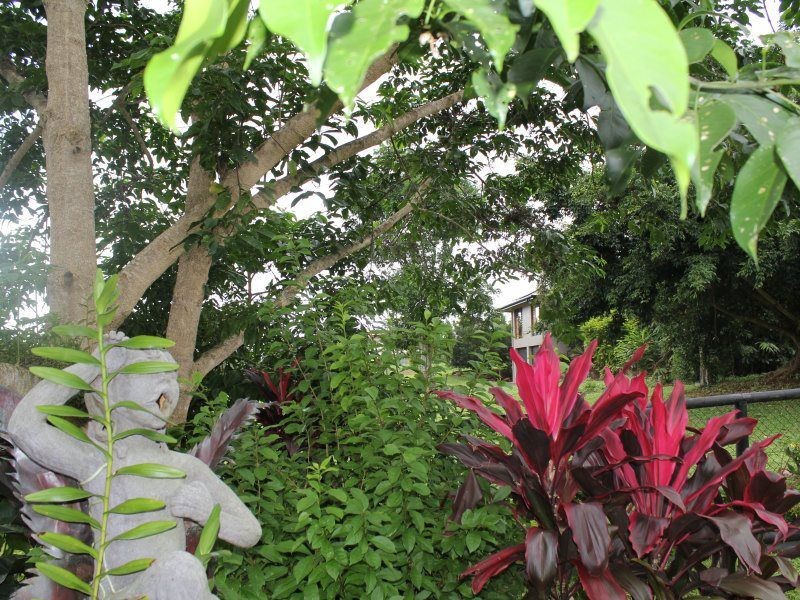 1 Riverside Terrace, South Mission Beach QLD 4852