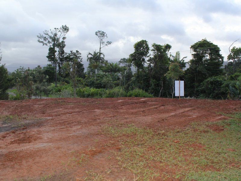 L6 Teitzel Road, East Feluga QLD 4854