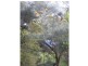 L6 Teitzel Road, East Feluga QLD 4854